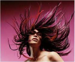 Schwarzkopf Proffessional